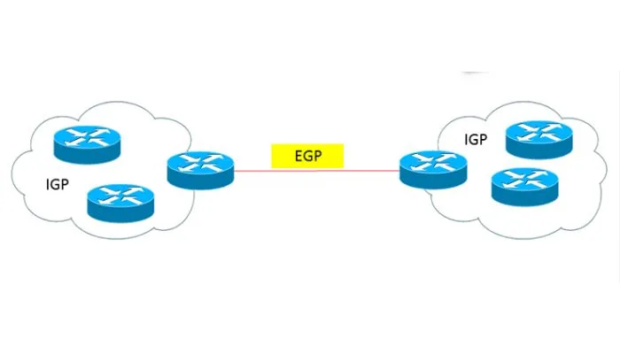 How Does EGP Work?